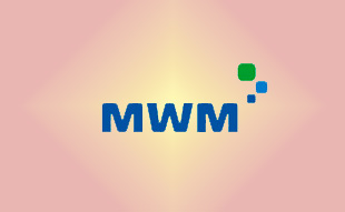 ✓ MWM 0404 0291 Запчасть MWM 